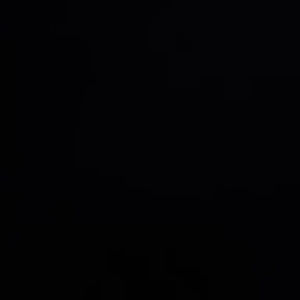 Meet your Posher, Flor